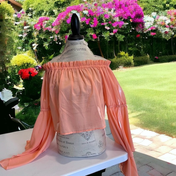 Feel beautiful in this romantic ruffled semi-sheer and feminine peach blouse - Picture 10 of 16